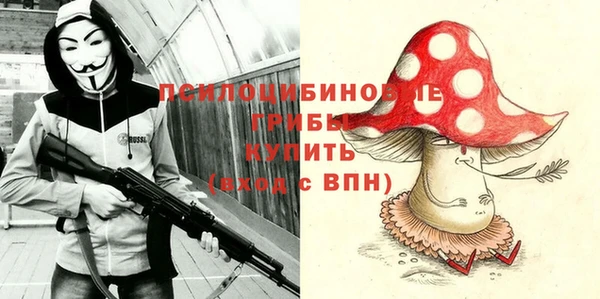 тгк Абаза
